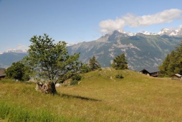 Permis de construire en force : Chalet de standing Minergie " Campo di Fiori"