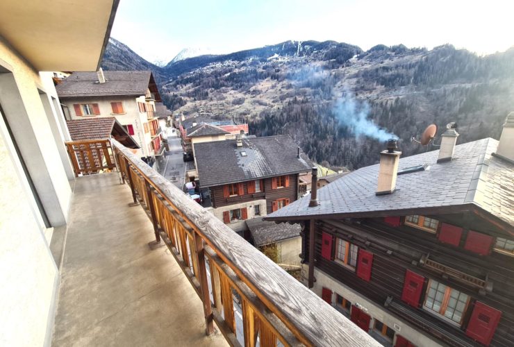 Bel appartement lumineux avec balcon et garage privatif