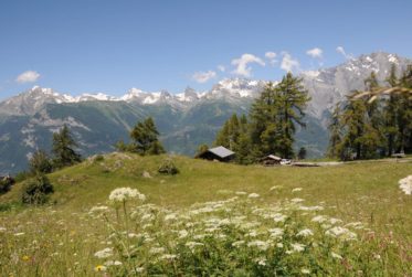 Permis de construire en force : Chalet de standing Minergie " Campo di Fiori"