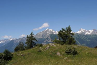 Permis de construire en force : Chalet de standing Minergie " Campo di Fiori"
