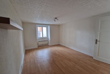 MAISON VILLAGEOISE AVEC 2 APPARTEMENTS INDÉPENDANTS ET UNE GRANGE