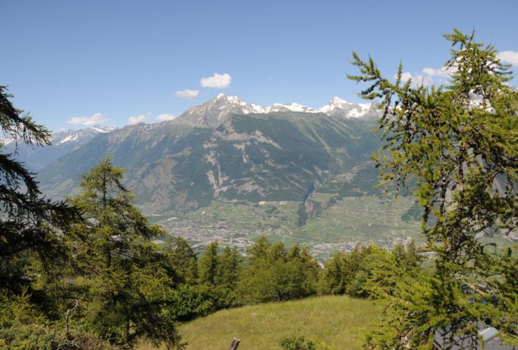 Terrain constructible - accès aisé et vue panoramique