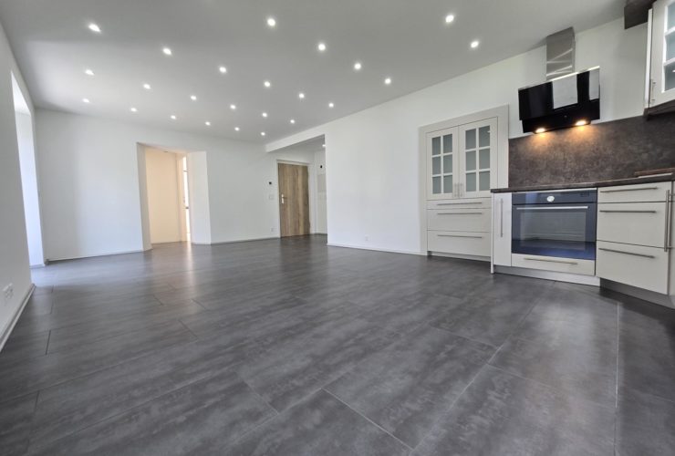 Magnifique appartement de 4.5 pièces avec cachet - place de parc incluse