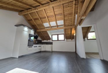 Magnifique attique de 4.5 pièces / cachet unique et grande terrasse - Place de parc incluse