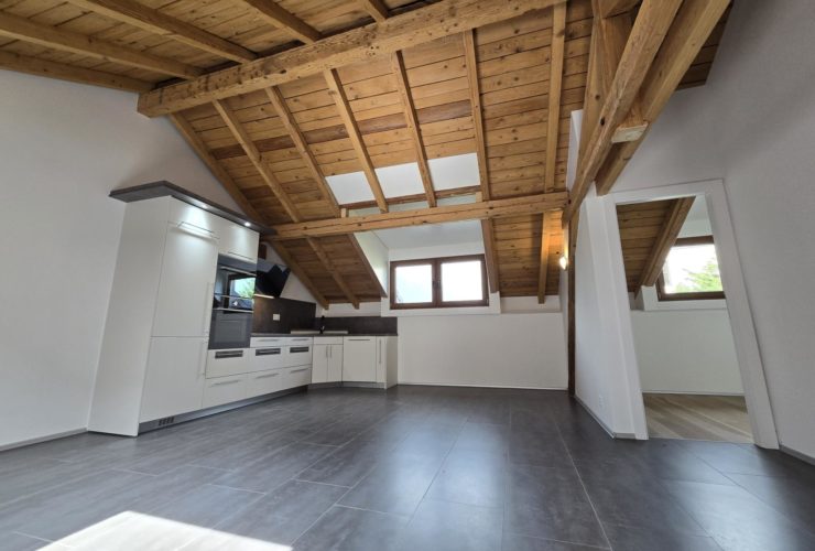 Magnifique attique de 4.5 pièces / cachet unique et grande terrasse - Place de parc incluse