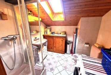 Belle maison de deux appartements + grand atelier et authentique Raccard