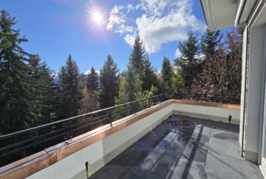 Spacieuse villa d’architecte des années 60 " LA MUSARDIERE" – Rénovations récentes – vendue meublée et équipée - Forêt privative