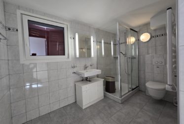 Belle maison de deux appartements + grand atelier et authentique Raccard