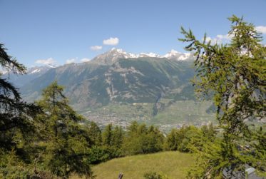 Terrain constructible Isérables (5 minutes de Haute-Nendaz) - Vue panoramique - résidence principale