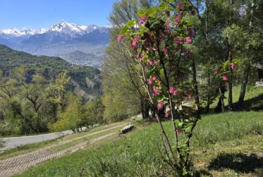 Chalet authentique de 5.5 pces avec mazot, grange et cave à vin sur grand domaine – Val d’Hérens