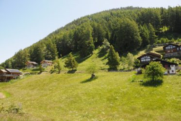 Terrain constructible Isérables (5 minutes de Haute-Nendaz) - Vue panoramique - résidence principale