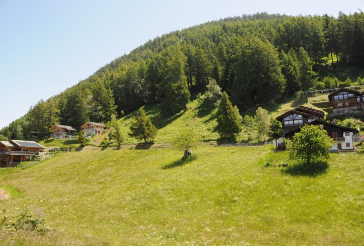 Terrain constructible Isérables (5 minutes de Haute-Nendaz) - Vue panoramique - résidence principale