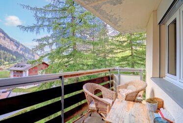 SPACIEUX 4.5 PIÈCES AVEC VUE PANORAMIQUE SUR LES MONTAGNES
